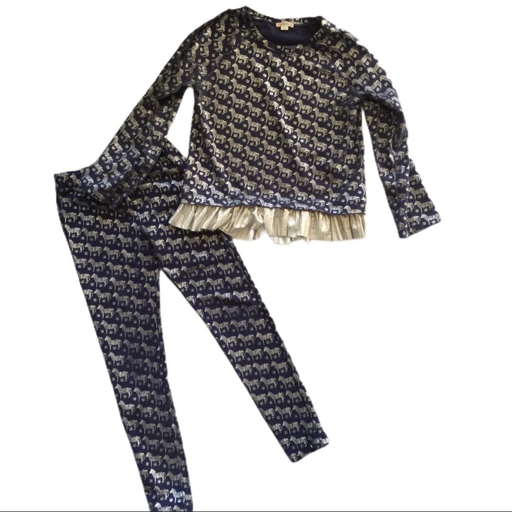 CREWCUTS Cozy Leggings & Top OUTFIT Silver Zebra - Picture 1 of 7